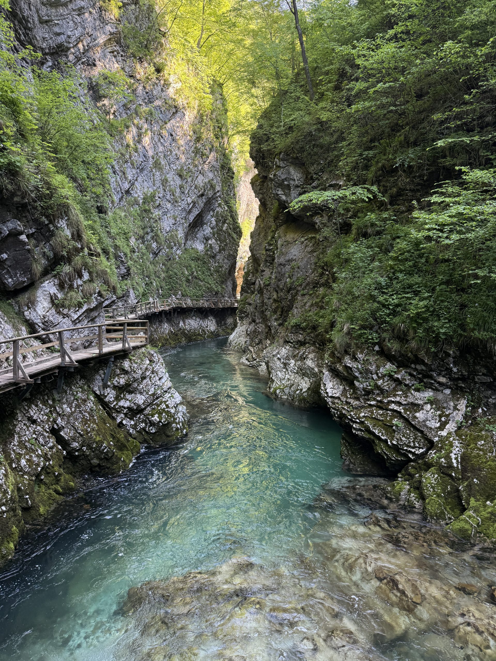 Your Guide to Vintar Gorge