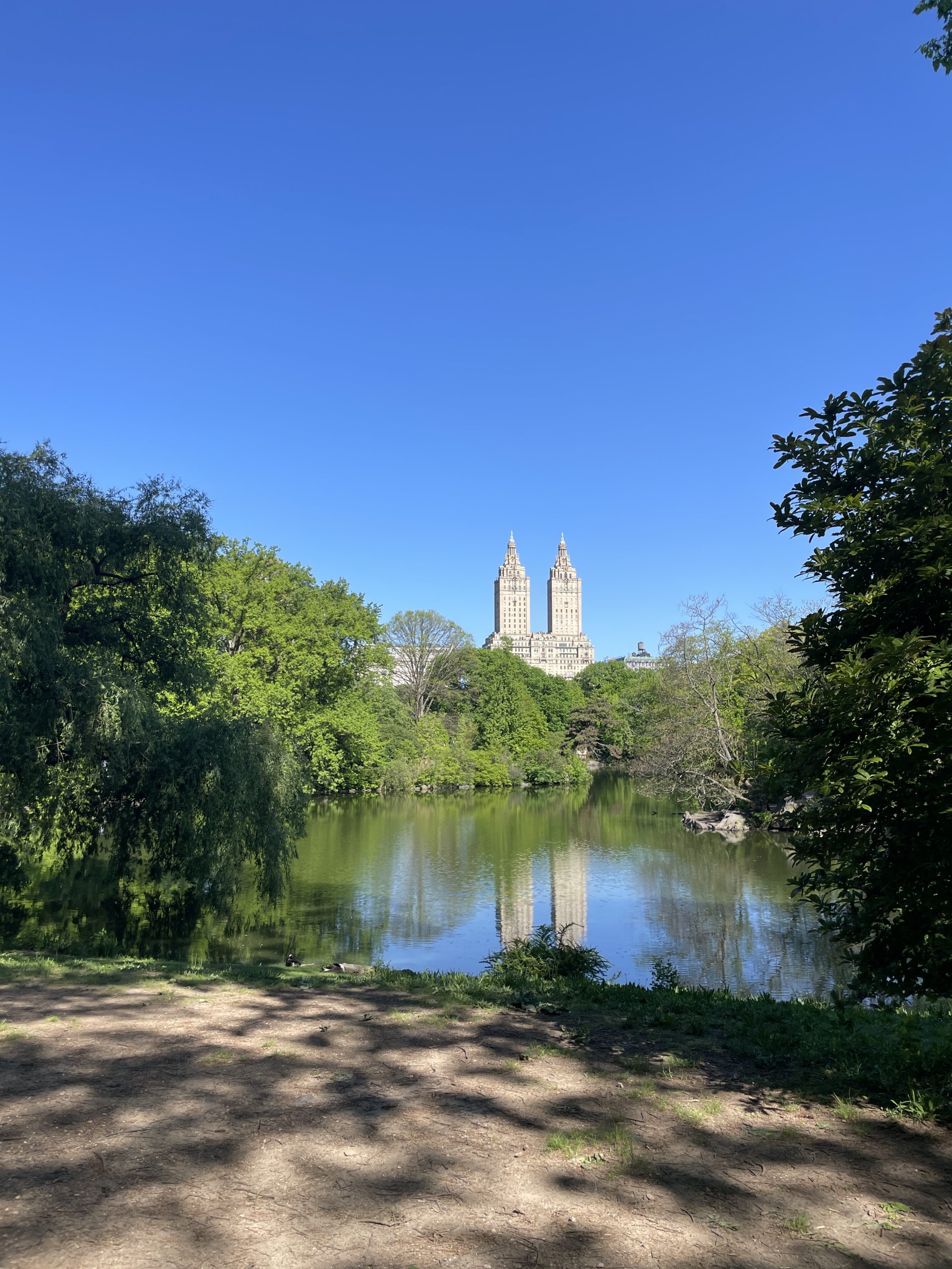 Solo Trip to New York City